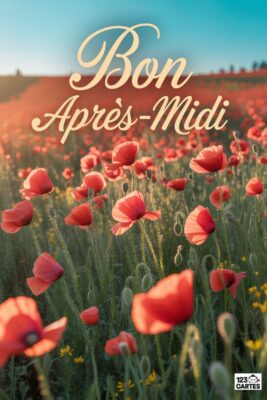 Champ de coquelicots rouges et verts sous un ciel bleu clair. Texte « Bon Après-Midi » en lettres cursives beiges. Soleil couchant.