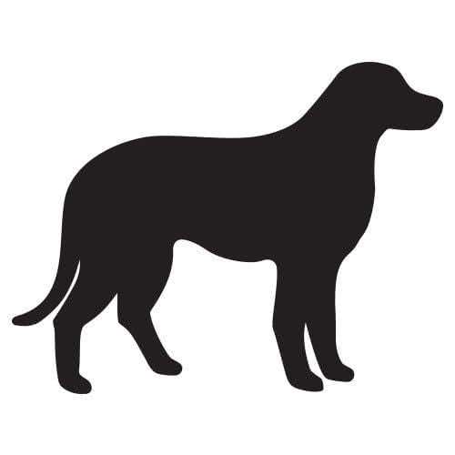 Silhouette chien