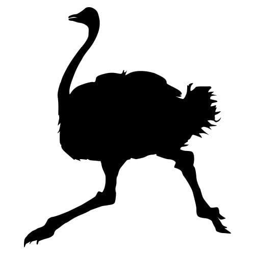Silhouette autruche.