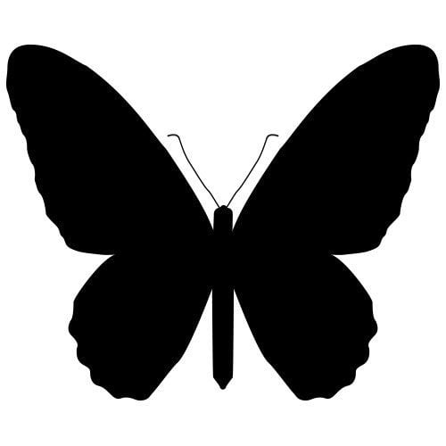 Silhouette d'un papillon with des ailes déployées, montrant une forme symétrique distincte et des détails simplifiés.